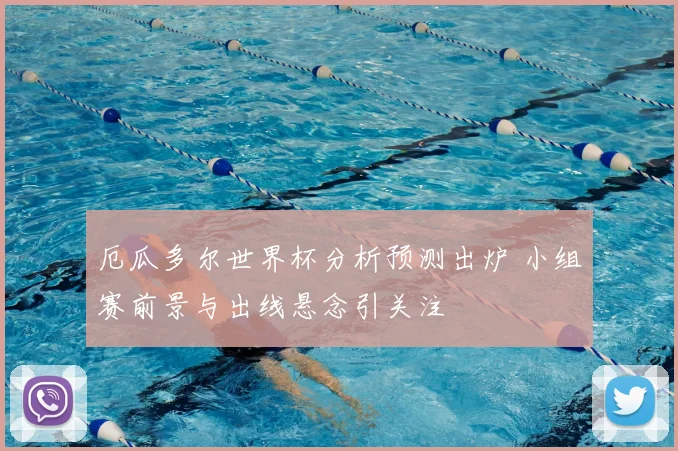 厄瓜多尔世界杯分析预测出炉 小组赛前景与出线悬念引关注