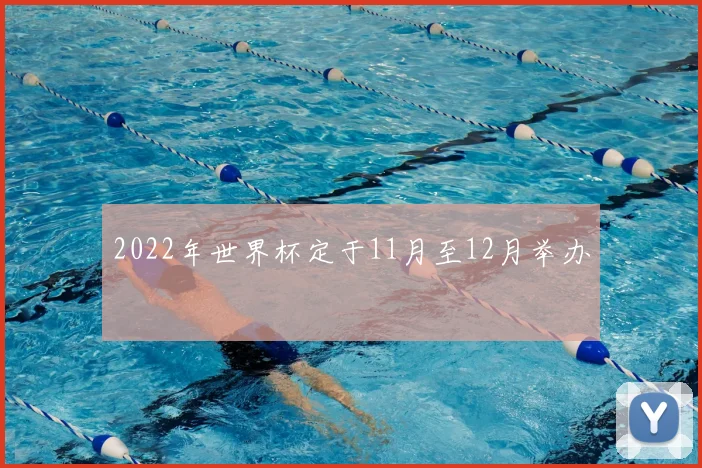 2022年世界杯定于11月至12月举办