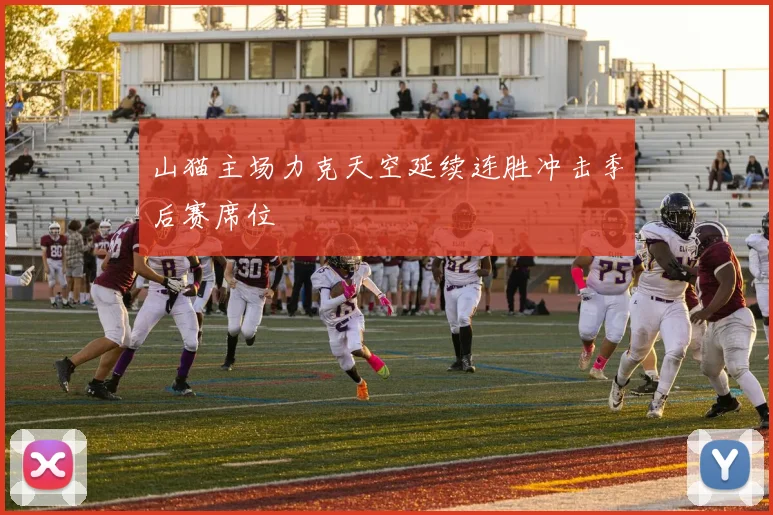 山猫主场力克天空延续连胜冲击季后赛席位