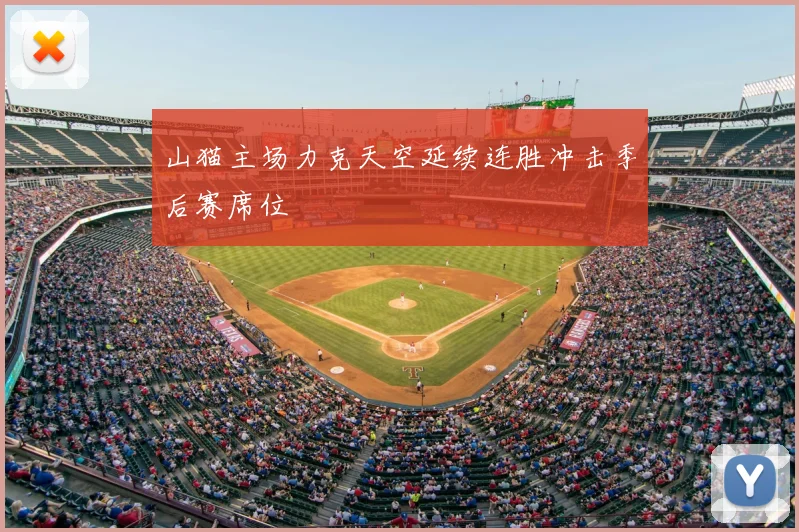 山猫主场力克天空延续连胜冲击季后赛席位